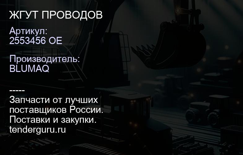 2553456 OE ЖГУТ ПРОВОДОВ | купить запчасти